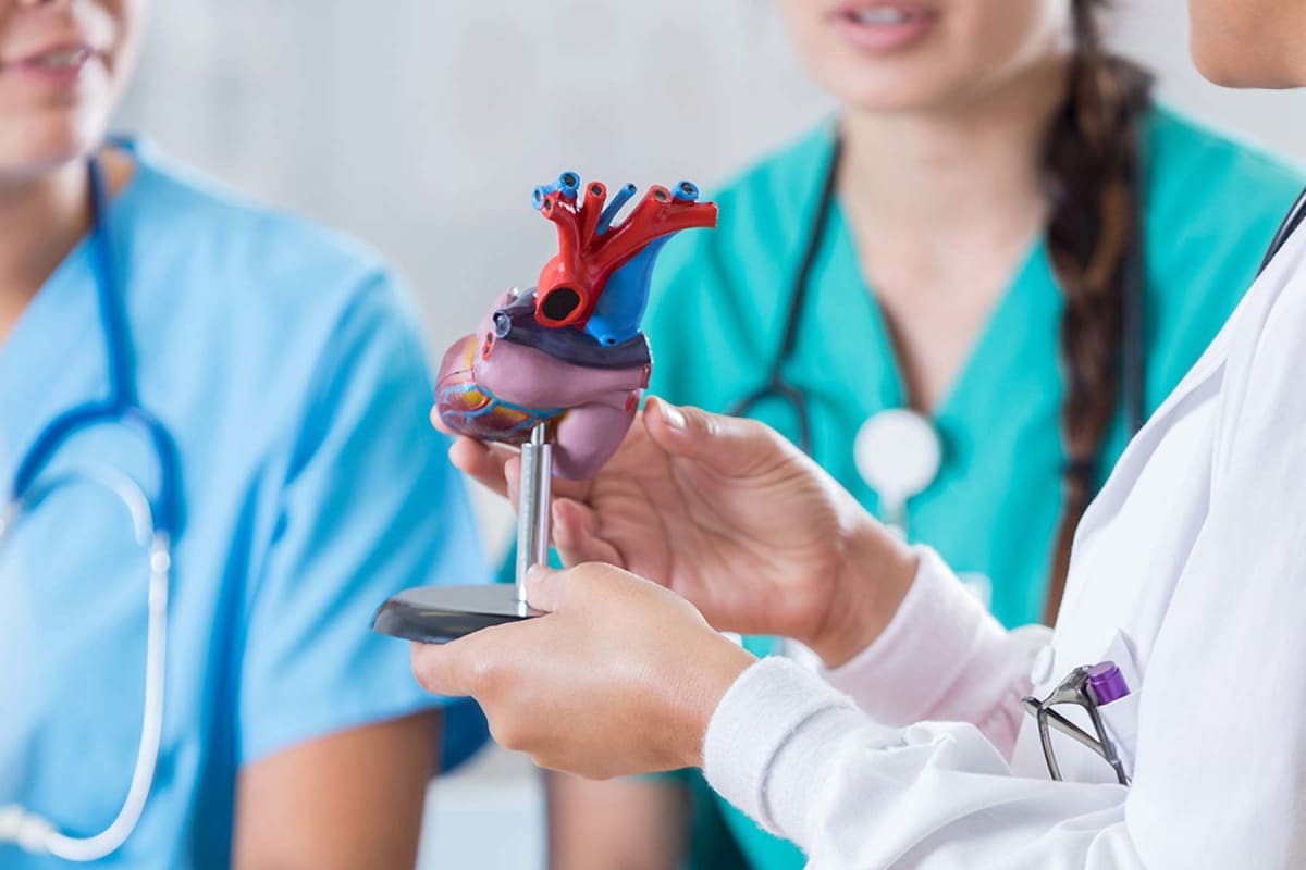 heart-and-vascular-services1_E55C2B90-FC10-11E9-92C400218628D024